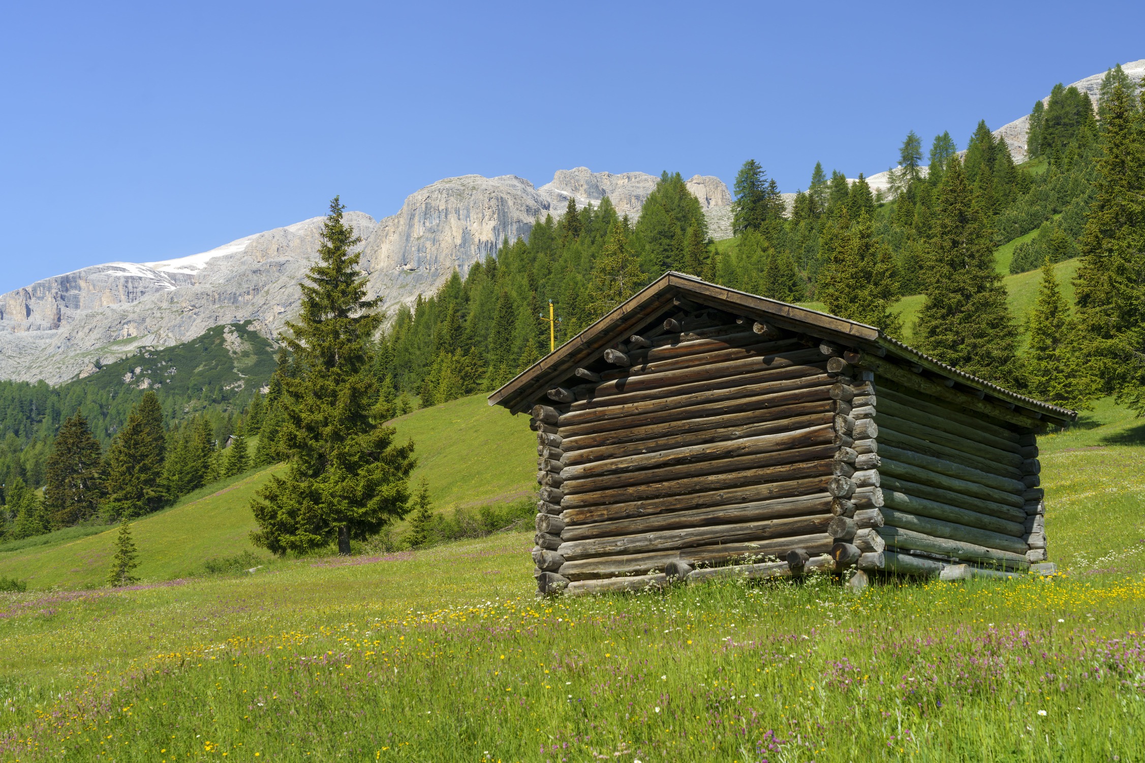 mountain-landscape-along-the-road-to-campolongo-pa-2026-03-17-07-15-27-utc (2) (2)